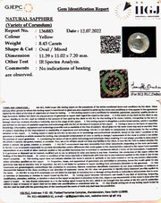 8.43/CT Natural Ceylonese Pukhraj with Govt Lab Certificate-(8991)